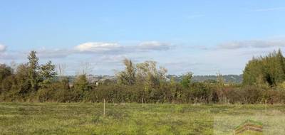 Terrain seul à Saint-Nicolas-de-la-Grave en Tarn-et-Garonne (82) de 769 m² à vendre au prix de 39000€ - 4