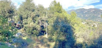 Terrain seul à Carros en Alpes-Maritimes (06) de 4104 m² à vendre au prix de 185000€ - 4