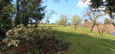 Terrain seul à Grosmagny en Territoire de Belfort (90) de 979 m² à vendre au prix de 42500€ - 2