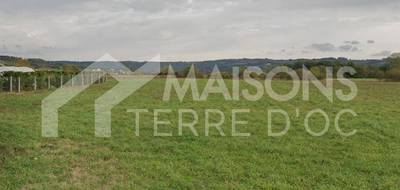 Programme terrain + maison à Roquecourbe en Tarn (81) de 1281 m² à vendre au prix de 204200€ - 3