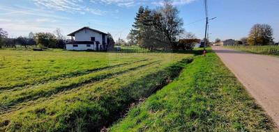 Terrain seul à Gugnécourt en Vosges (88) de 2703 m² à vendre au prix de 19200€ - 4