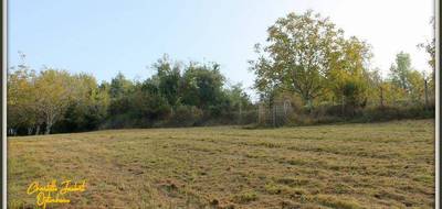 Terrain seul à Chalais en Charente (16) de 5090 m² à vendre au prix de 44000€ - 4