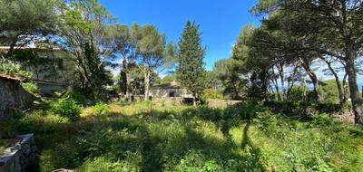 Terrain seul à Sète en Hérault (34) de 1000 m² à vendre au prix de 850000€ - 2