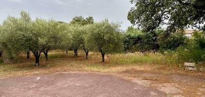 Terrain seul à Puget-sur-Argens en Var (83) de 460 m² à vendre au prix de 189000€ - 2