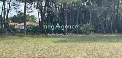 Terrain seul à Saint-Aubin-de-Médoc en Gironde (33) de 937 m² à vendre au prix de 284000€ - 1