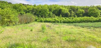 Terrain seul à Larnas en Ardèche (07) de 1800 m² à vendre au prix de 68000€ - 4