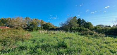 Terrain seul à Sauveterre-de-Béarn en Pyrénées-Atlantiques (64) de 1009 m² à vendre au prix de 21000€ - 1