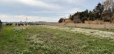 Terrain seul à Pomérols en Hérault (34) de 801 m² à vendre au prix de 195000€ - 1