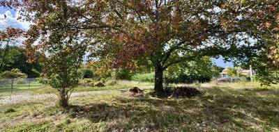 Terrain seul à Pessac en Gironde (33) de 2000 m² à vendre au prix de 350000€ - 2