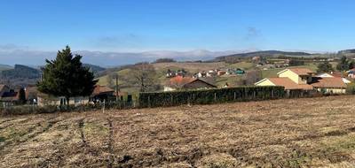 Terrain seul à Violay en Loire (42) de 760 m² à vendre au prix de 75000€ - 3