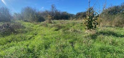 Terrain seul à Saint-Denis-du-Payré en Vendée (85) de 949 m² à vendre au prix de 59000€ - 3