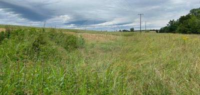 Terrain seul à Hennecourt en Vosges (88) de 1010 m² à vendre au prix de 35300€ - 2