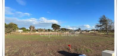 Terrain seul à Saint-Pierre-Quiberon en Morbihan (56) de 302 m² à vendre au prix de 153000€ - 2