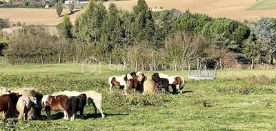 Terrain seul à Lauzerville en Haute-Garonne (31) de 725 m² à vendre au prix de 199000€ - 3