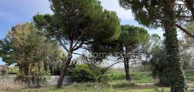 Terrain seul à Florensac en Hérault (34) de 600 m² à vendre au prix de 129000€ - 2