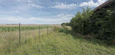 Terrain seul à Mergey en Aube (10) de 2649 m² à vendre au prix de 103000€ - 4