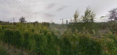 Terrain seul à Wintzenheim en Haut-Rhin (68) de 2500 m² à vendre au prix de 385000€ - 3