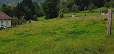 Terrain seul à Le Val-d'Ajol en Vosges (88) de 0 m² à vendre au prix de 28600€ - 1