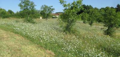 Terrain seul à Coux et Bigaroque-Mouzens en Dordogne (24) de 3445 m² à vendre au prix de 45000€ - 4