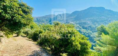 Terrain seul à Castagniers en Alpes-Maritimes (06) de 1400 m² à vendre au prix de 210000€ - 4