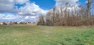 Terrain seul à Algolsheim en Haut-Rhin (68) de 450 m² à vendre au prix de 79453€ - 2