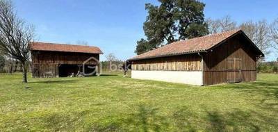 Terrain seul à Taller en Landes (40) de 5878 m² à vendre au prix de 270000€ - 2