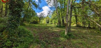 Terrain seul à Saint-Salvy-de-la-Balme en Tarn (81) de 3600 m² à vendre au prix de 28000€ - 3