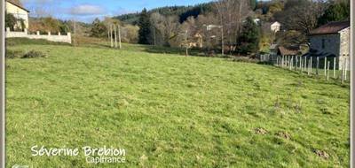 Terrain seul à Celles-sur-Durolle en Puy-de-Dôme (63) de 2545 m² à vendre au prix de 52000€ - 3