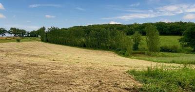 Terrain seul à Lelin-Lapujolle en Gers (32) de 14000 m² à vendre au prix de 35000€ - 2