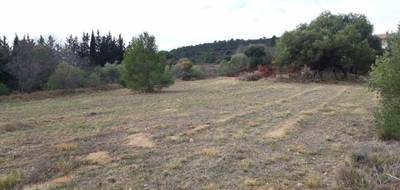 Terrain seul à Mailhac en Aude (11) de 1296 m² à vendre au prix de 119000€ - 4