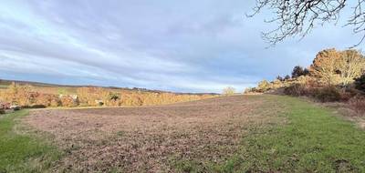 Terrain seul à Limoux en Aude (11) de 20000 m² à vendre au prix de 149000€ - 2