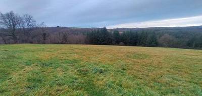 Terrain seul à Sauviat en Puy-de-Dôme (63) de 14000 m² à vendre au prix de 60000€ - 2