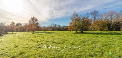 Terrain seul à Romorantin-Lanthenay en Loir-et-Cher (41) de 4077 m² à vendre au prix de 59990€ - 1