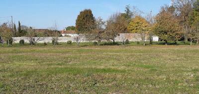 Terrain seul à Pérignac en Charente-Maritime (17) de 2747 m² à vendre au prix de 39500€ - 1