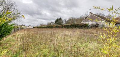 Terrain seul à Cheverny en Loir-et-Cher (41) de 2373 m² à vendre au prix de 83000€ - 2