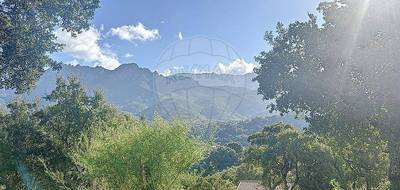 Terrain seul à Tavaco en Corse-du-Sud (2A) de 1751 m² à vendre au prix de 209000€ - 3