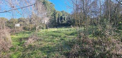 Terrain seul à Béziers en Hérault (34) de 2005 m² à vendre au prix de 319500€ - 3