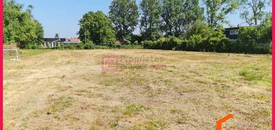 Terrain seul à Campagne-lès-Hesdin en Pas-de-Calais (62) de 1059 m² à vendre au prix de 43990€ - 1