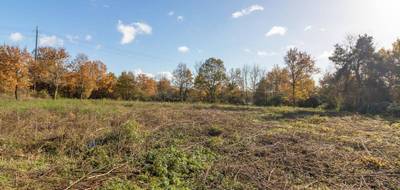 Terrain seul à Pruniers-en-Sologne en Loir-et-Cher (41) de 1133 m² à vendre au prix de 27990€ - 1