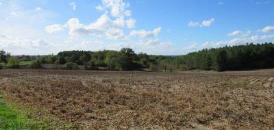 Terrain seul à Fossemagne en Dordogne (24) de 5435 m² à vendre au prix de 35000€ - 1
