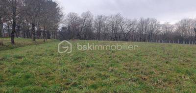 Terrain seul à Duhort-Bachen en Landes (40) de 2210 m² à vendre au prix de 65000€ - 2