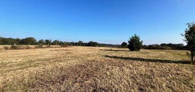 Terrain seul à Marigny en Allier (03) de 2100 m² à vendre au prix de 48990€ - 2