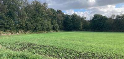 Terrain seul à Locronan en Finistère (29) de 2183 m² à vendre au prix de 140000€ - 3