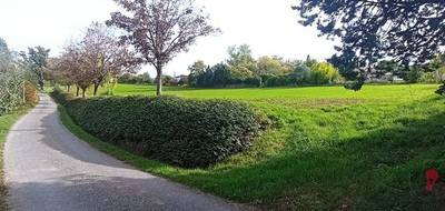 Terrain seul à Albi en Tarn (81) de 1609 m² à vendre au prix de 147290€ - 4