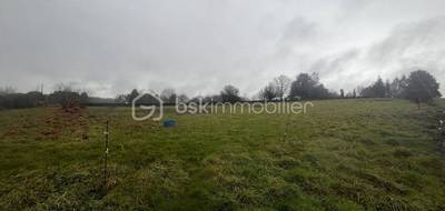 Terrain seul à Plumelec en Morbihan (56) de 2400 m² à vendre au prix de 130000€ - 3