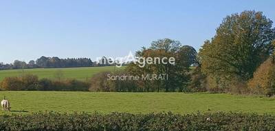 Terrain seul à Ciral en Orne (61) de 5152 m² à vendre au prix de 29000€ - 3