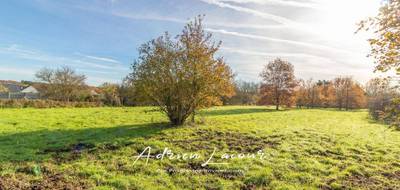 Terrain seul à Romorantin-Lanthenay en Loir-et-Cher (41) de 4077 m² à vendre au prix de 59990€ - 3