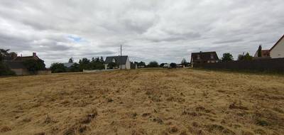 Terrain seul à Selommes en Loir-et-Cher (41) de 1001 m² à vendre au prix de 28000€ - 2