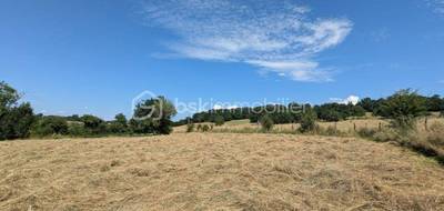 Terrain seul à Blot-l'Église en Puy-de-Dôme (63) de 26000 m² à vendre au prix de 100000€ - 3