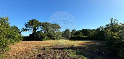 Terrain seul à Arvert en Charente-Maritime (17) de 2880 m² à vendre au prix de 29000€ - 1